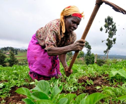 Female farmers are increasingly impacted by climate change