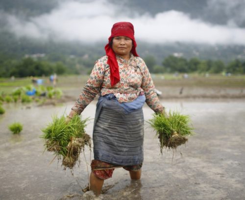 Women and climate change