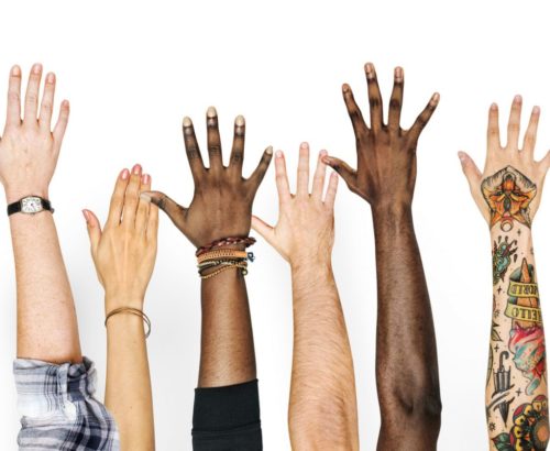 Diverse hands raised