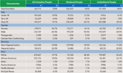 Demographic Characteristics of People Experiencing Homelessness, 2019