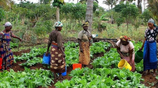 Image of women with buckets of water tending to plants..