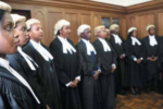 Photo of women judges standing in a row