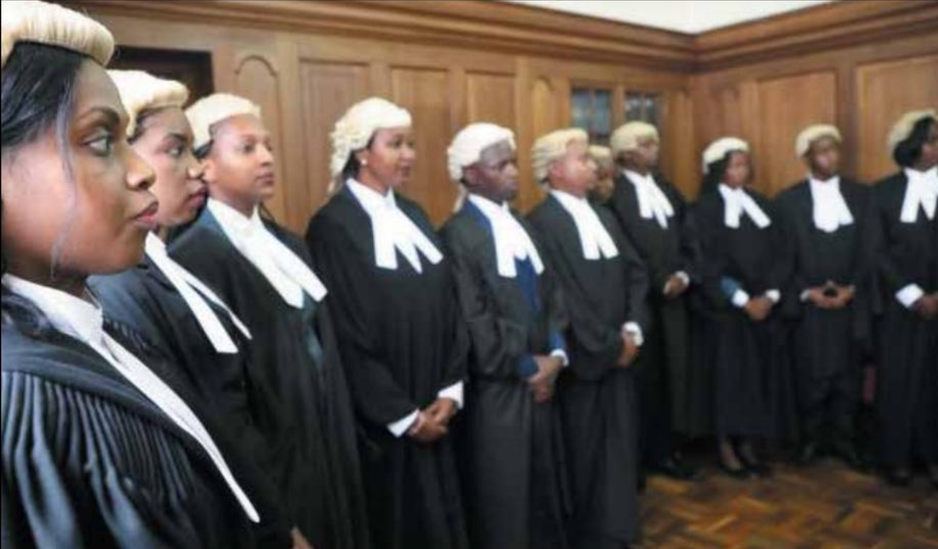 Photo of women judges standing in a row