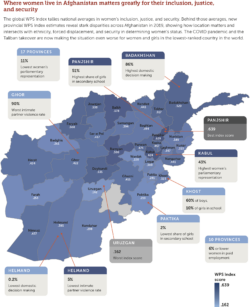 Afghan subnational index showing index scores for individual provinces.