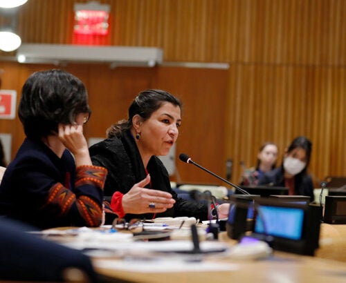Horia speaks at UN debate