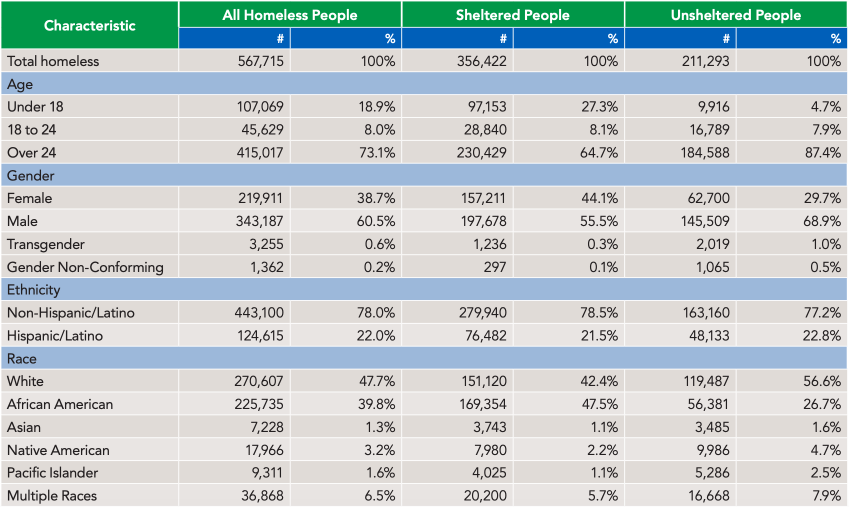 Demographic Characteristics of People Experiencing Homelessness, 2019
